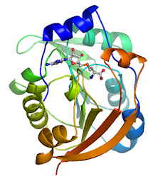 methylation_small methylation_small