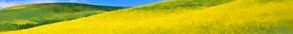 banner_2x1