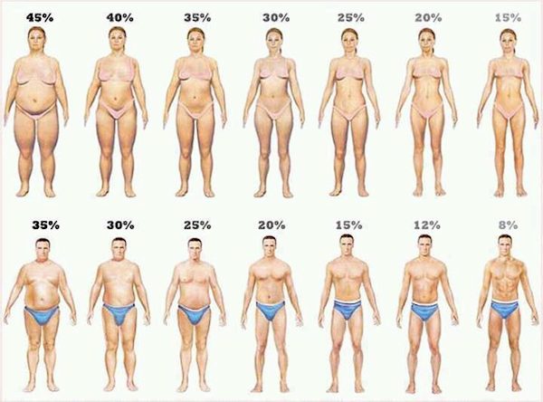 body_fat_percentage