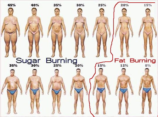 Healthy Body Fat Male 65