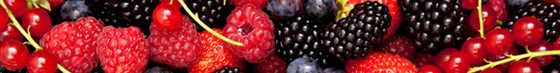 exotic berries