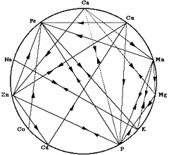 mineral-chart