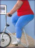 overweight2