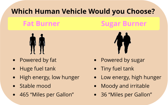 fat burn vs sugar burn)