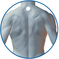 X39 Neck Position